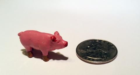 Realistic Pig Token